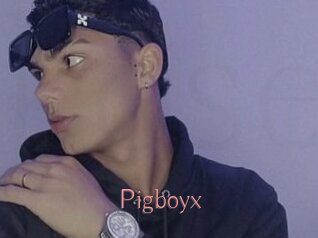 Pigboyx