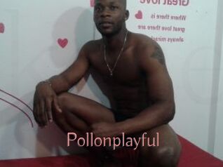 Pollonplayful