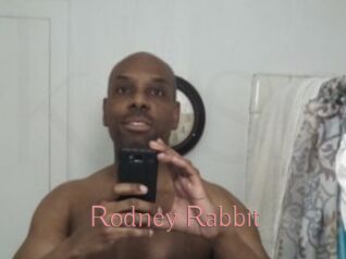 Rodney_Rabbit