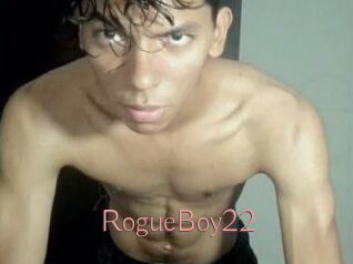 RogueBoy22