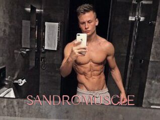 SANDRO_MUSCLE