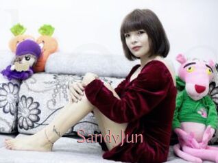 SandyJun