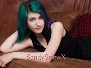 SandySnowX