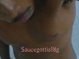 Saucegottia18g