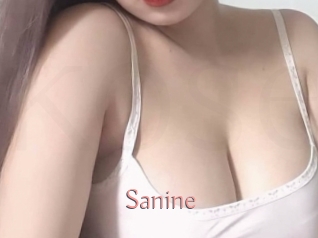 Sanine