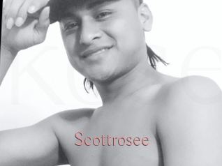 Scottrosee