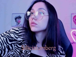 Silicialumberg