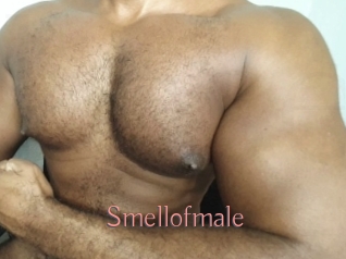 Smellofmale