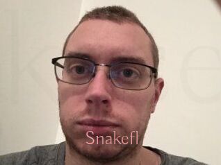 Snakefl