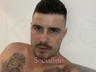 Sociallion