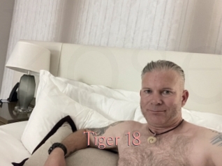 Tiger_18