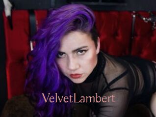 VelvetLambert