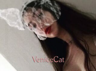 VeniceCat