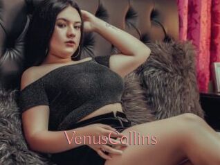 VenusCollins