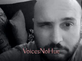 VoicesNoHue