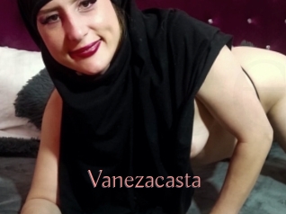 Vanezacasta