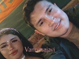 Vannesajavi