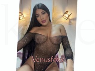 Venusfoxx