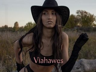 Viahawes