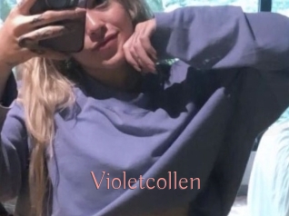 Violetcollen