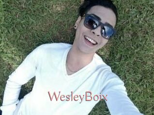 Wesley_Boix