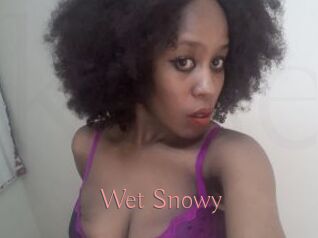 Wet_Snowy