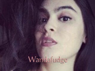 Wandafudge