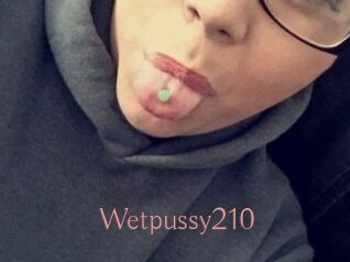 Wetpussy210