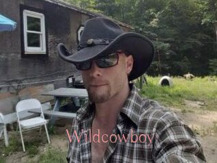 Wildcowboy