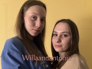 Willaandantonia